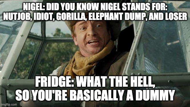 Jumanji: What Nigel Stands For! | NIGEL: DID YOU KNOW NIGEL STANDS FOR: NUTJOB, IDIOT, GORILLA, ELEPHANT DUMP, AND LOSER; FRIDGE: WHAT THE HELL, SO YOU'RE BASICALLY A DUMMY | image tagged in jumanji npc | made w/ Imgflip meme maker
