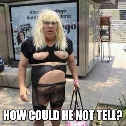 Ugly guy | HOW COULD HE NOT TELL? | image tagged in tranny | made w/ Imgflip meme maker