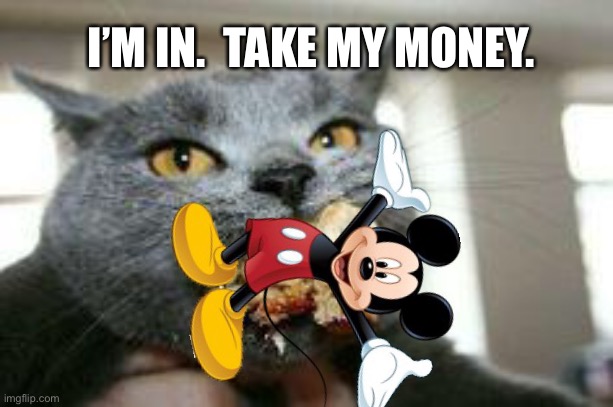 Cat-eating | I’M IN.  TAKE MY MONEY. | image tagged in cat-eating | made w/ Imgflip meme maker