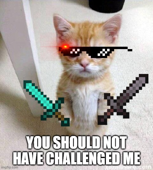 Cute Cat Meme | YOU SHOULD NOT HAVE CHALLENGED ME | image tagged in memes,cute cat | made w/ Imgflip meme maker