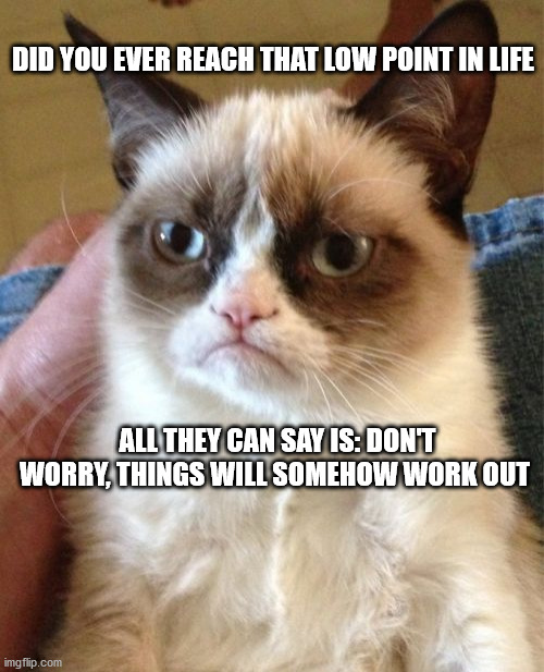 Grumpy Cat | DID YOU EVER REACH THAT LOW POINT IN LIFE; ALL THEY CAN SAY IS: DON'T WORRY, THINGS WILL SOMEHOW WORK OUT | image tagged in memes,grumpy cat | made w/ Imgflip meme maker