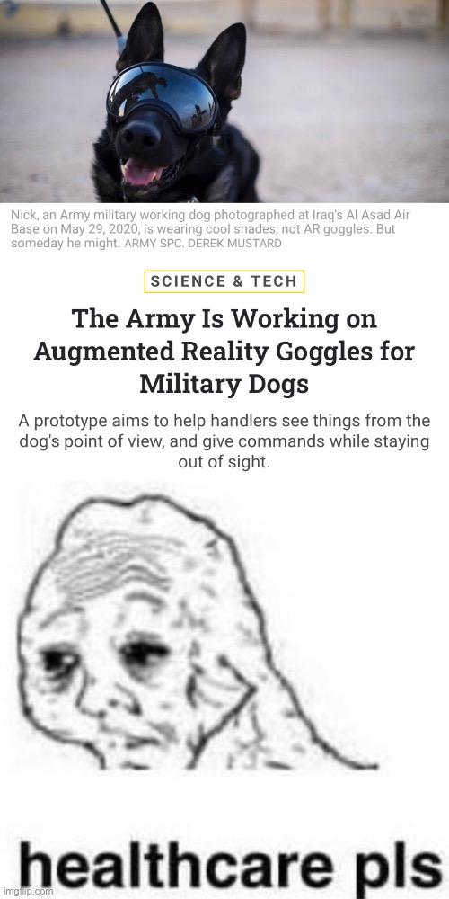 Whatever happened to priorities... | image tagged in dogs,military,healthcare,wojak,cut the defense budget | made w/ Imgflip meme maker