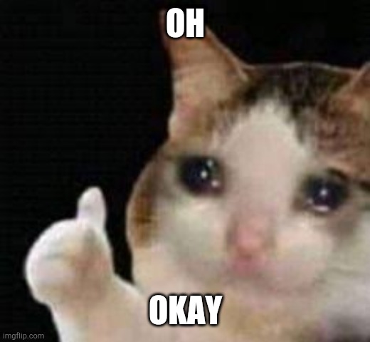 Approved crying cat | OH OKAY | image tagged in approved crying cat | made w/ Imgflip meme maker