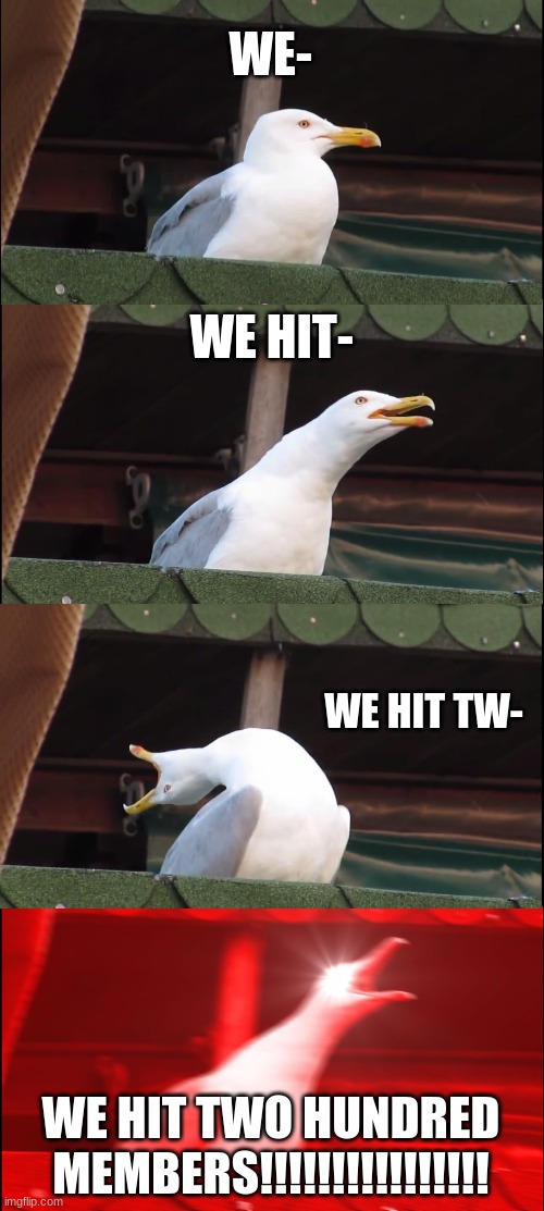 WOOOOOOOOOOOOOHOOOOOOOOOOOOOOOOO | WE-; WE HIT-; WE HIT TW-; WE HIT TWO HUNDRED MEMBERS!!!!!!!!!!!!!!!! | image tagged in memes,inhaling seagull | made w/ Imgflip meme maker