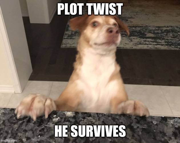 Plot twist | PLOT TWIST HE SURVIVES | image tagged in plot twist | made w/ Imgflip meme maker