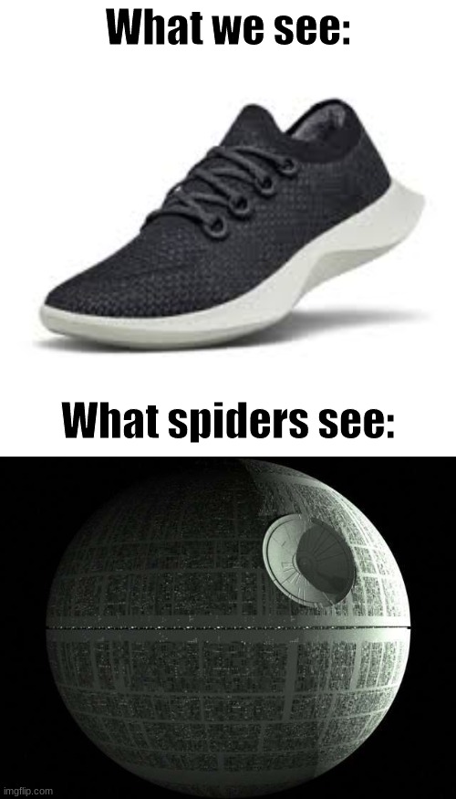 What spiders fear most | What we see:; What spiders see: | image tagged in funny meme | made w/ Imgflip meme maker