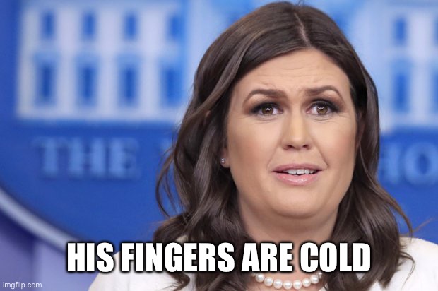 Sara Sanders is Confused | HIS FINGERS ARE COLD | image tagged in sara sanders is confused | made w/ Imgflip meme maker