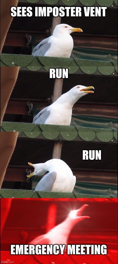 EMERGENCY MEETING | SEES IMPOSTER VENT; RUN; RUN; EMERGENCY MEETING | image tagged in memes,inhaling seagull | made w/ Imgflip meme maker