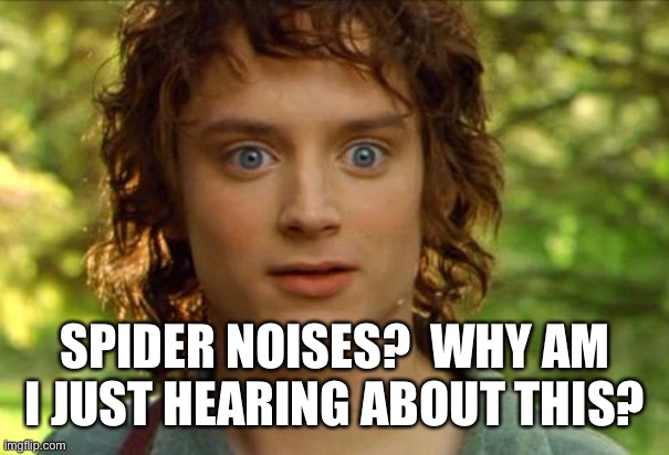 Surpised Frodo Meme | SPIDER NOISES?  WHY AM I JUST HEARING ABOUT THIS? | image tagged in memes,surpised frodo | made w/ Imgflip meme maker