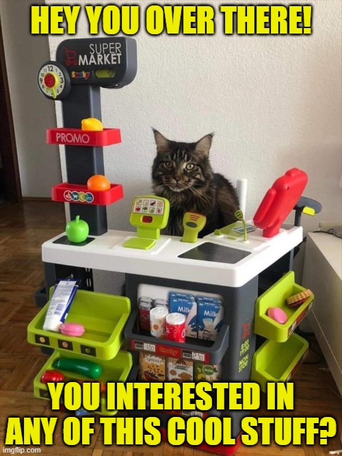 Cat has opened up shop | HEY YOU OVER THERE! YOU INTERESTED IN ANY OF THIS COOL STUFF? | image tagged in memes,cats,animals,funny,cute cat | made w/ Imgflip meme maker