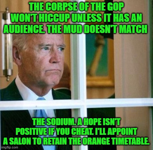 Sad Joe Biden | THE CORPSE OF THE GOP WON'T HICCUP UNLESS IT HAS AN AUDIENCE. THE MUD DOESN'T MATCH THE SODIUM. A HOPE ISN'T POSITIVE IF YOU CHEAT. I'LL APP | image tagged in sad joe biden | made w/ Imgflip meme maker