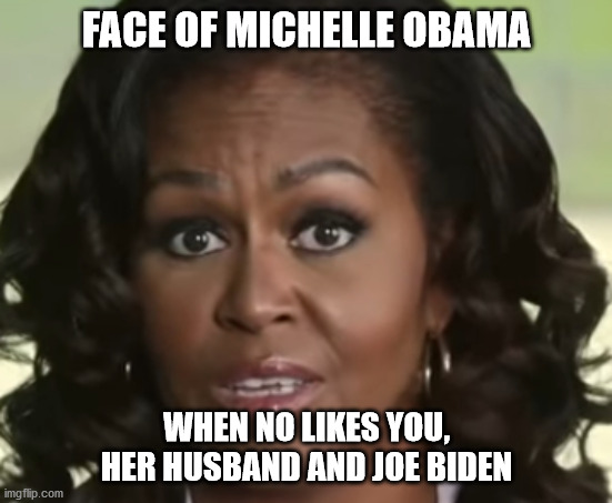 Michelle Obama the most hated woman in the world | FACE OF MICHELLE OBAMA; WHEN NO LIKES YOU, HER HUSBAND AND JOE BIDEN | image tagged in michelle obama,election 2020,trump 2020,joe biden | made w/ Imgflip meme maker