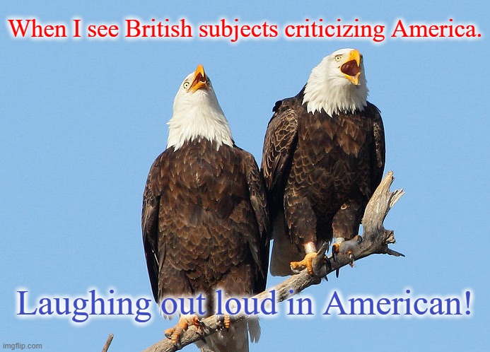 Monty Python and John Clease were funny, but not as funny as some brits. | When I see British subjects criticizing America. Laughing out loud in American! | image tagged in laughing eagles | made w/ Imgflip meme maker