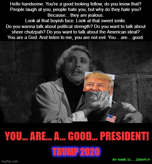 Young Frankenstein | Hello handsome. You're a good looking fellow, do you know that?
People laugh at you, people hate you, but why do they hate you?
Because... they are jealous.
Look at that boyish face. Look at that sweet smile.
Do you wanna talk about political strength? Do you want to talk about sheer chutzpah? Do you want to talk about the American ideal? You are a God. And listen to me, you are not evil. You... are... good. YOU... ARE... A... GOOD... PRESIDENT! TRUMP 2020; MY NAME IS... JIGGYFLY! | image tagged in trump 2020,cnn fake news,msm lies,hillary for prison,sheeple,election 2020 | made w/ Imgflip meme maker