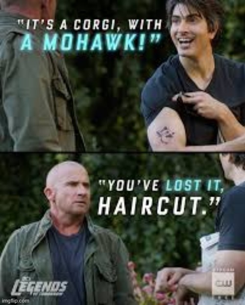 Corgi with a mohawk | image tagged in legends of tomorrow | made w/ Imgflip meme maker