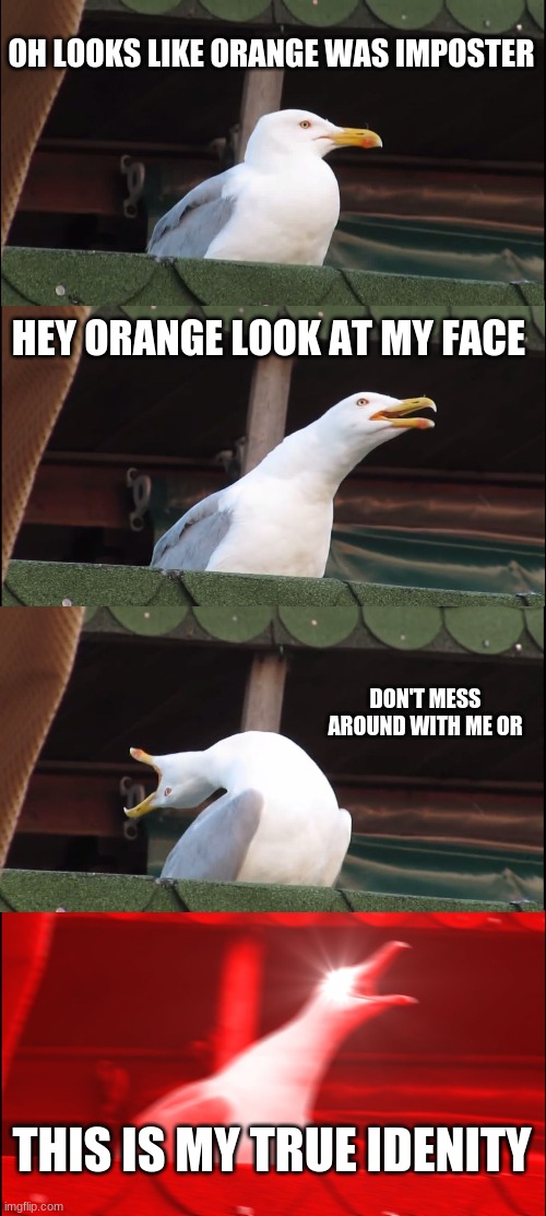 Inhaling Seagull | OH LOOKS LIKE ORANGE WAS IMPOSTER; HEY ORANGE LOOK AT MY FACE; DON'T MESS AROUND WITH ME OR; THIS IS MY TRUE IDENITY | image tagged in memes,inhaling seagull | made w/ Imgflip meme maker