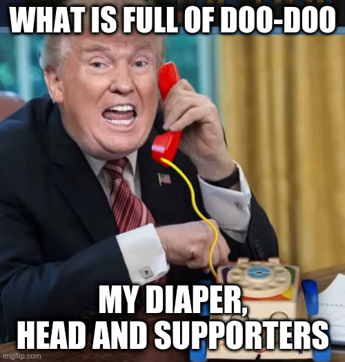 I'm the president | WHAT IS FULL OF DOO-DOO; MY DIAPER, HEAD AND SUPPORTERS | image tagged in i'm the president | made w/ Imgflip meme maker