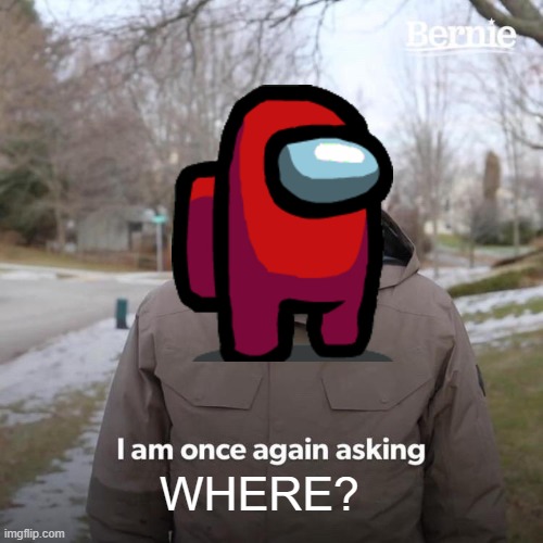 Where? | WHERE? | image tagged in memes,bernie i am once again asking for your support | made w/ Imgflip meme maker