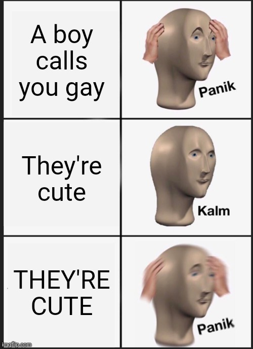 Panik Kalm Panik Meme | A boy calls you gay; They're cute; THEY'RE CUTE | image tagged in memes,panik kalm panik | made w/ Imgflip meme maker