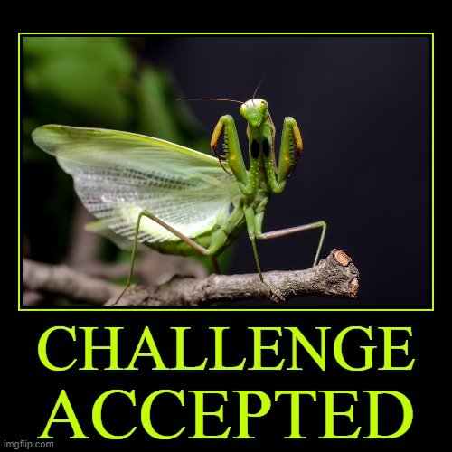 Challenge Accepted | image tagged in funny,demotivationals,memes,challenge accepted | made w/ Imgflip demotivational maker