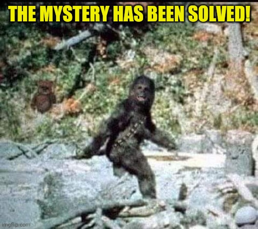 Chewbigfoot | THE MYSTERY HAS BEEN SOLVED! | image tagged in star wars,chewbacca,bigfoot,unsolved mysteries | made w/ Imgflip meme maker