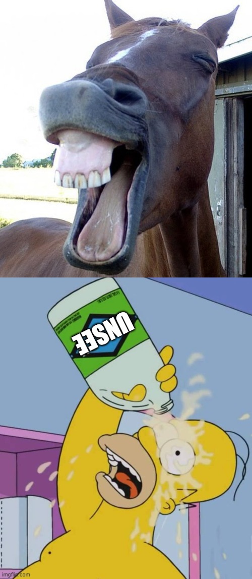I never knew horses were so scary... | UNSEE | image tagged in funny horse face,homer with bleach | made w/ Imgflip meme maker