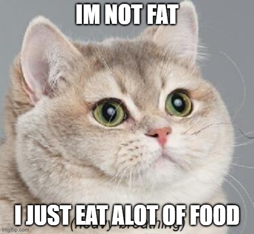 Im NOT Fat... | IM NOT FAT; I JUST EAT ALOT OF FOOD | image tagged in memes,heavy breathing cat | made w/ Imgflip meme maker