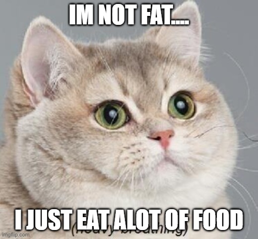 Im NOT Fat... | IM NOT FAT.... I JUST EAT ALOT OF FOOD | image tagged in memes,heavy breathing cat | made w/ Imgflip meme maker