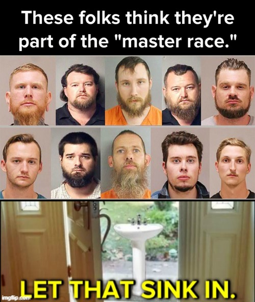 you know, losers with nothing else going for them just might turn to their own skin color for validation | image tagged in let that sink in,white supremacy,white supremacists,racists,racist,racism | made w/ Imgflip meme maker
