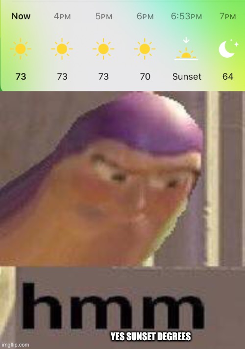 YES SUNSET DEGREES | image tagged in buzz lightyear hmm | made w/ Imgflip meme maker