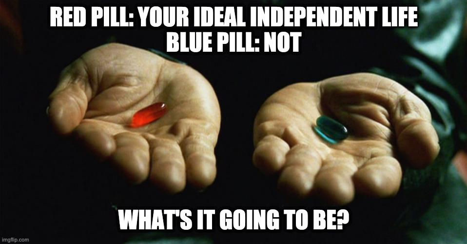Red pill blue pill | RED PILL: YOUR IDEAL INDEPENDENT LIFE
BLUE PILL: NOT; WHAT'S IT GOING TO BE? | image tagged in red pill blue pill | made w/ Imgflip meme maker