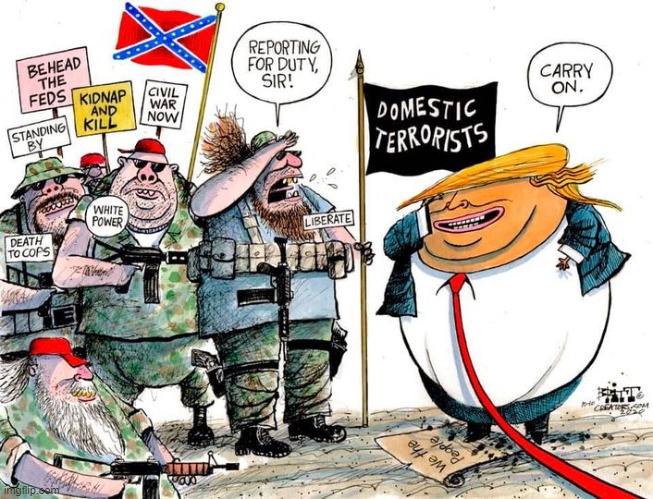 nono theyre militaimen authorized by the constuitution hes standing on n saluting maga | image tagged in domestic terrorists,militia,terrorism,terrorists,repost,comics/cartoons | made w/ Imgflip meme maker