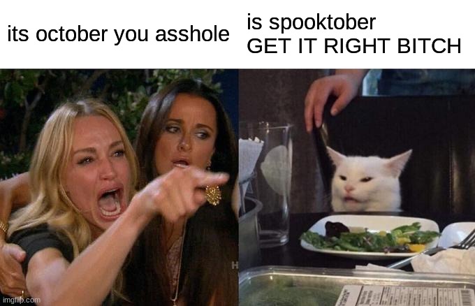 Woman Yelling At Cat | its october you asshole; is spooktober GET IT RIGHT BITCH | image tagged in memes,woman yelling at cat | made w/ Imgflip meme maker