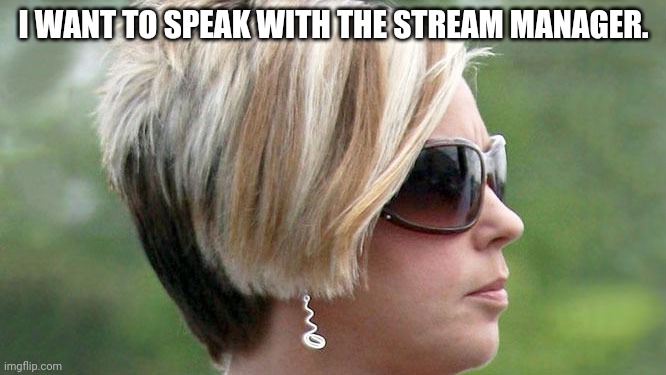 Karen | I WANT TO SPEAK WITH THE STREAM MANAGER. | image tagged in karen | made w/ Imgflip meme maker