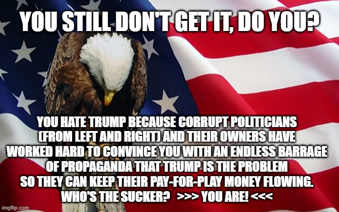 You Hate Trump Because Corrupt Left And Right Politicians Convinced You | YOU STILL DON'T GET IT, DO YOU? YOU HATE TRUMP BECAUSE CORRUPT POLITICIANS
(FROM LEFT AND RIGHT) AND THEIR OWNERS HAVE
WORKED HARD TO CONVINCE YOU WITH AN ENDLESS BARRAGE
OF PROPAGANDA THAT TRUMP IS THE PROBLEM
SO THEY CAN KEEP THEIR PAY-FOR-PLAY MONEY FLOWING.
WHO'S THE SUCKER?   >>> YOU ARE! <<< | image tagged in memorial day eagle | made w/ Imgflip meme maker