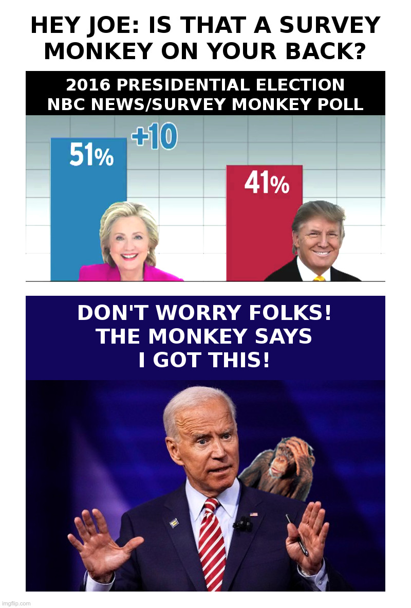 Hey Joe: Is That A Survey Monkey On Your Back? | image tagged in joe biden,survey,monkey,hillary clinton 2016,polls,fake news | made w/ Imgflip meme maker