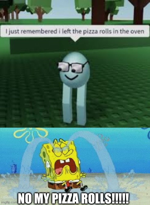 When u left ur pizza roll in the oven for far too long (R.I.P Pizza Rolls) | NO MY PIZZA ROLLS!!!!! | image tagged in cryin | made w/ Imgflip meme maker