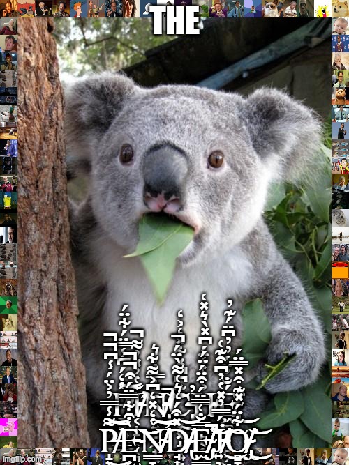 cursed koala | THE; P̸̴̵̸̞̘͚͇̠͕̟̼͖͕̦̺̔̒́͆̾̿̈́͋̈́͠͠͝Ì̴̴̵̸͔̝̞͙͔͉͍͇̘͎͚̝̔̓̽̓͌̚͘̕͠N̴̸̵̴̡̡̡͕͍̺͖̟͓͇̟̦͋̿̓̾͛͘̚͘̚͝C̵̴̵̵̢͉͙͓̝͔͍͉̫̙͊͆͆̽͋̽̒͐̒̕̕͜H̴̸̵̸͔͓̙͔͎̦͙͉̝͍͐͐̔̒̈́͆̽̀͛̽͑͜É̴̴̴̸̡͖͚̙͕̙̦͖͎̐̓̈́̓̓͆̈́͊̓͘͜ P̸̵̵̵̝̞͎͚̞͔̞͔͎̫͙͌̾̿̓͐̈́̾͆̚̚͜͠͝È̵̵̴̴̪͔̠̟͚̠͍̻̠̠͍͒͋̿̈́͒̚̚͘͝͝͝N̸̴̴̸͇̞̫͎͖̦̺͖̦̘̻̼̔̒̽̒͆͐͌͋̕̕͠͝D̵̸̴̸̢̘͎͙͎̫͎͚͉̘̘̻̽͒́̒͛͑͌̀̈́̚͝E̴̸̴̸̡̫͇͎͕͇̟͍̺̫͚̿̐͑̿̈́͒̈́̈́͘̕̚͝J̵̴̸̸͍̦̙͍̺͉͚͉̠̪͉̈́̿̓̽̔̓͆͒͊͑͘͜͠O̴̵̸̸̢̡̻̞͕̘͔͍͖͍͕͋̈́̽͊͒̽̿̈́͘͘͘͜͝ | image tagged in memes,surprised koala | made w/ Imgflip meme maker