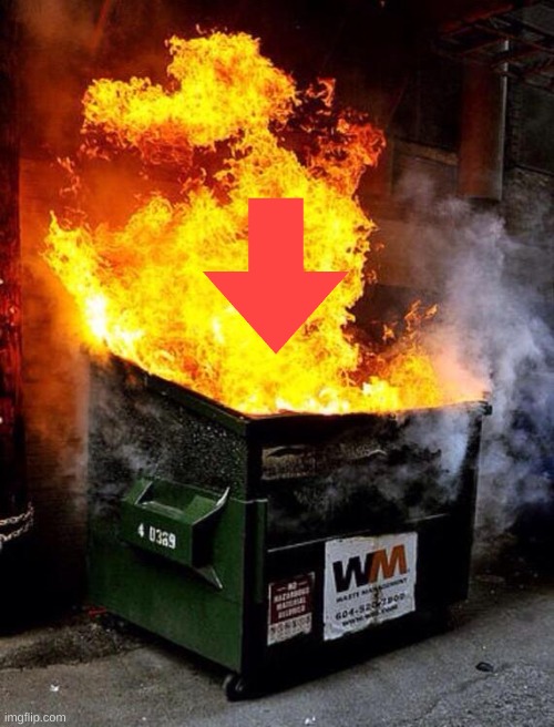 Dumpster Fire | image tagged in dumpster fire | made w/ Imgflip meme maker