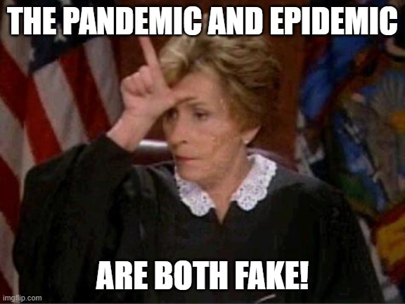 Judge Judy Loser | THE PANDEMIC AND EPIDEMIC ARE BOTH FAKE! | image tagged in judge judy loser | made w/ Imgflip meme maker