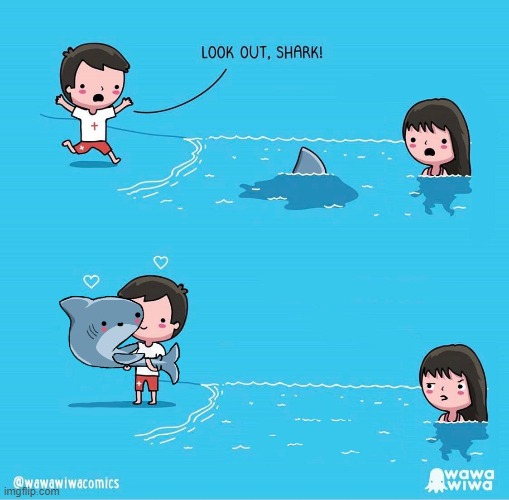 That's Adorable | image tagged in shark,memes,life guard,swimming,beach,comics | made w/ Imgflip meme maker