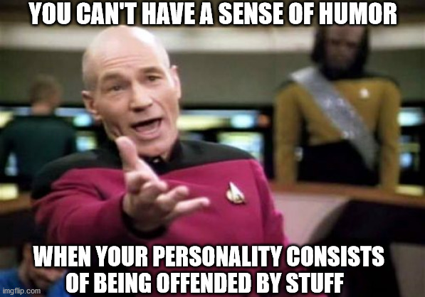 The Left Can't Meme | YOU CAN'T HAVE A SENSE OF HUMOR; WHEN YOUR PERSONALITY CONSISTS OF BEING OFFENDED BY STUFF | image tagged in memes,picard wtf,donald trump,joe biden | made w/ Imgflip meme maker
