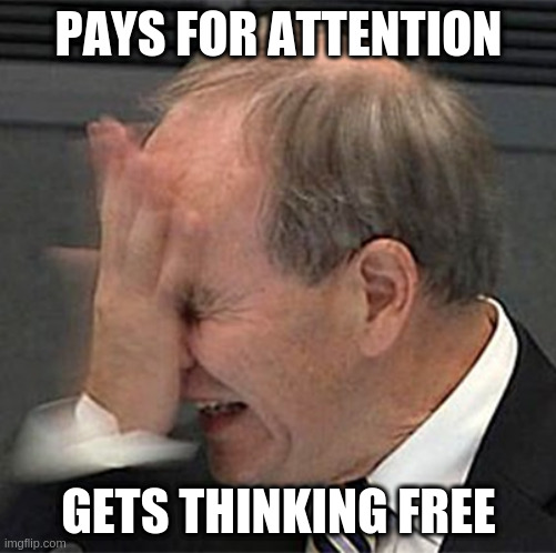 facepalm | PAYS FOR ATTENTION; GETS THINKING FREE | image tagged in facepalm | made w/ Imgflip meme maker