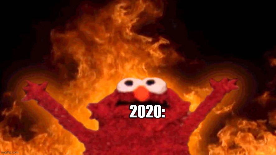 elmo fire | 2020: | image tagged in elmo fire | made w/ Imgflip meme maker