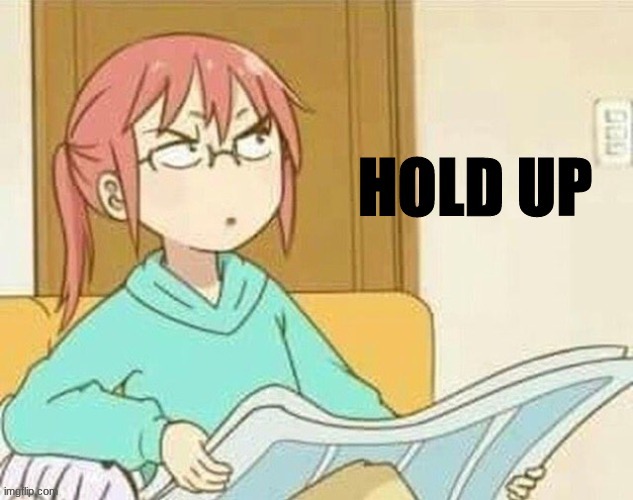 Anime Girl Hold Up | image tagged in anime girl hold up | made w/ Imgflip meme maker