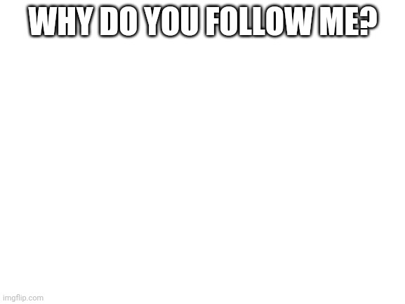 Blank White Template | WHY DO YOU FOLLOW ME? | image tagged in blank white template | made w/ Imgflip meme maker