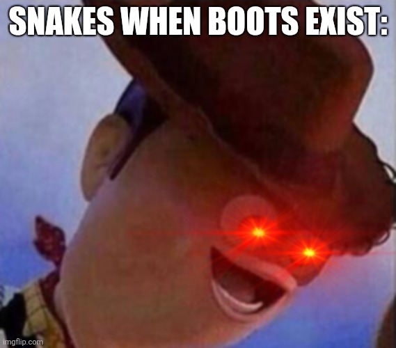 Derp Woody | SNAKES WHEN BOOTS EXIST: | image tagged in derp woody | made w/ Imgflip meme maker