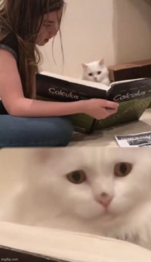 Cat And Calculus | image tagged in cat and calculus | made w/ Imgflip meme maker