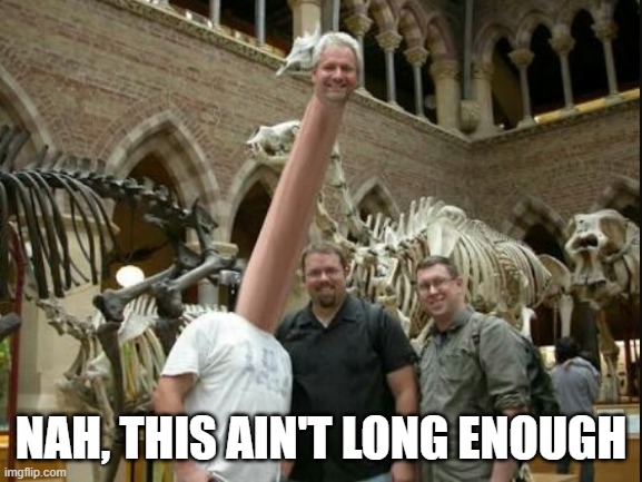 Long Neck | NAH, THIS AIN'T LONG ENOUGH | image tagged in long neck | made w/ Imgflip meme maker