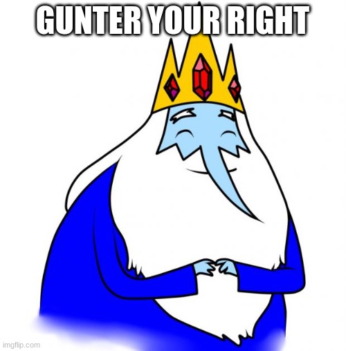 Ice king | GUNTER YOUR RIGHT | image tagged in ice king | made w/ Imgflip meme maker